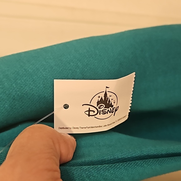 Disneyland NWT Teal Hoodie, X Large, Unisex - Picture 3 of 5